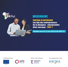 webinaire diaspora