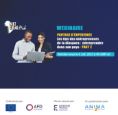 webinaire diaspora 2