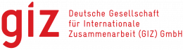 GIZ GmbH
