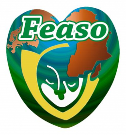 FEASO (Fédération Euro-Africaine de Solidarité)